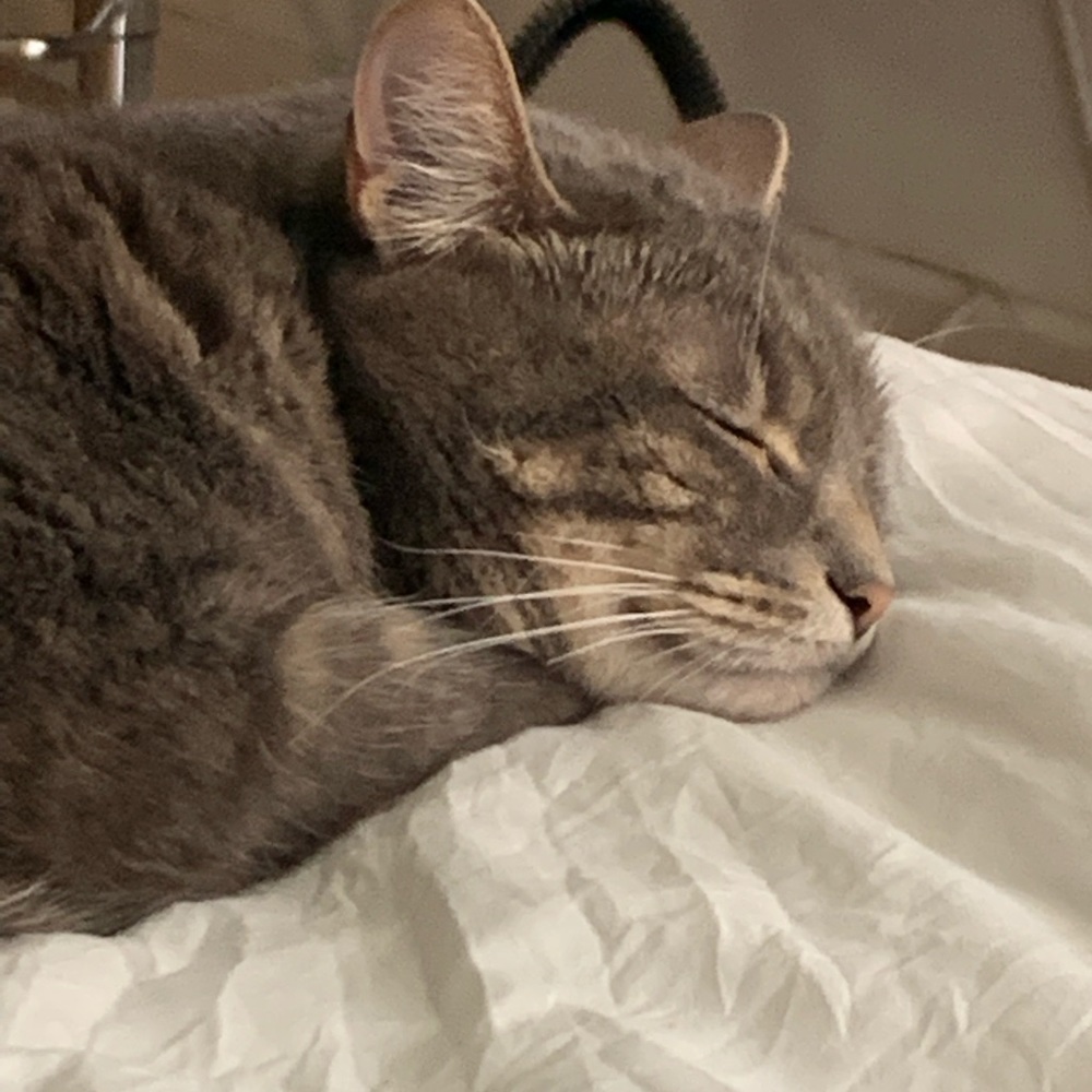 Meet your Posher, Kyla